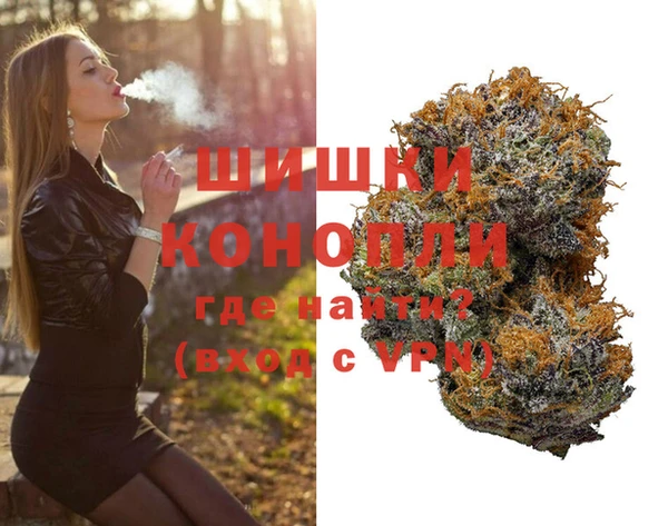 ПСИЛОЦИБИНОВЫЕ ГРИБЫ Бронницы