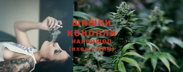 соль ск Богородск