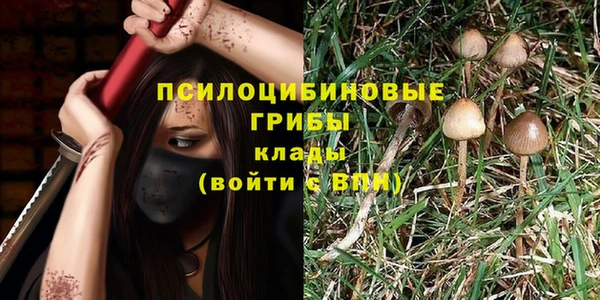 mix Бородино