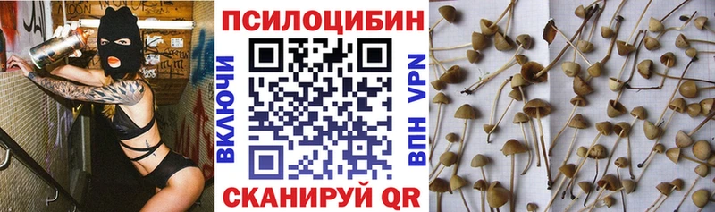 Галлюциногенные грибы ЛСД Короча